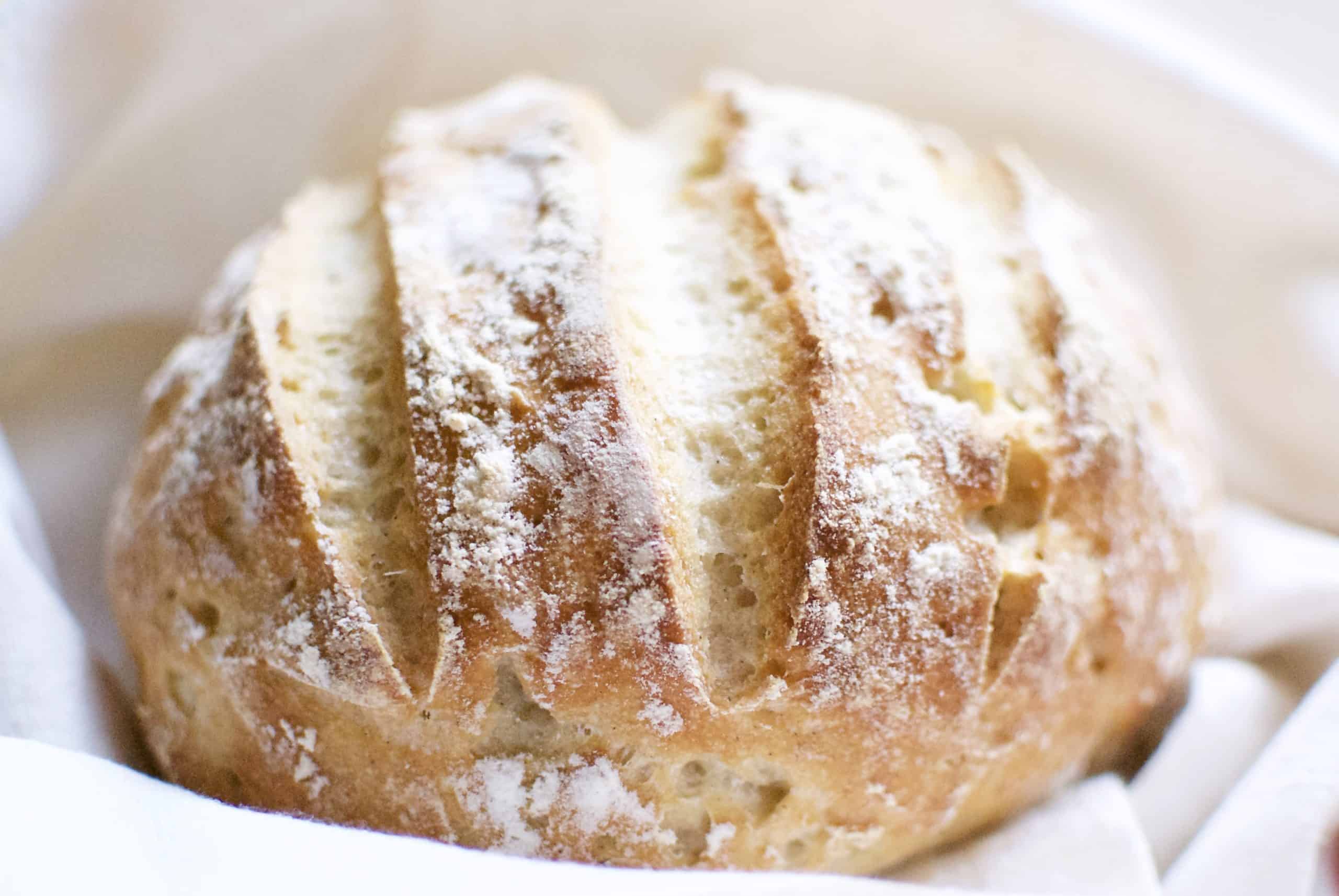 Bake Better Bread: Using heat and steam - Severn Bites Breadmaking Classes