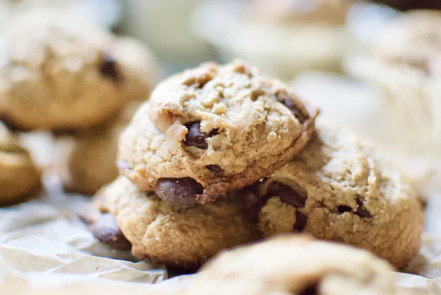 Flourless Peanut Butter Chocolate Chip Cookies A Hint Of Rosemary